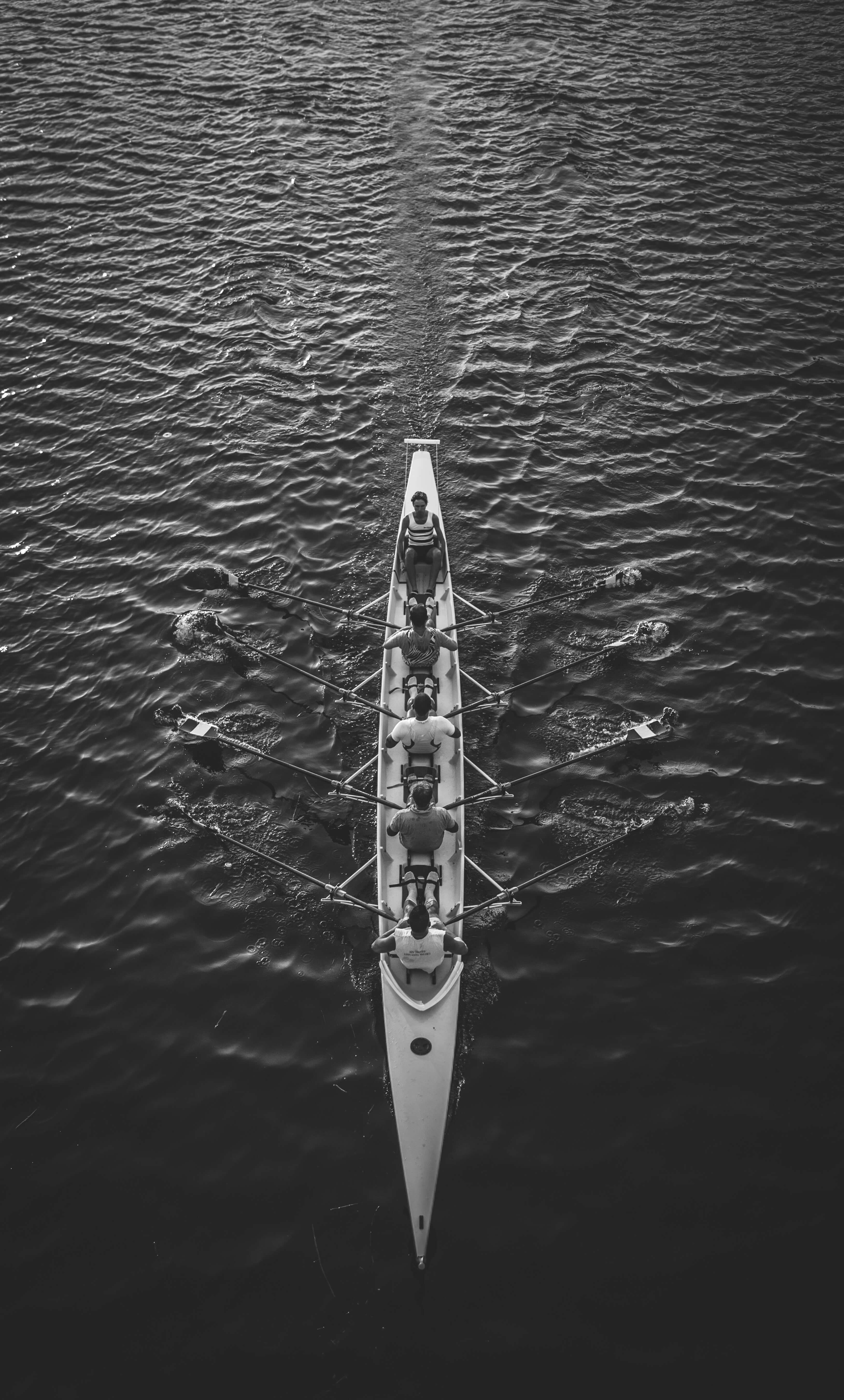 black and white birds eye view photo of people rowing